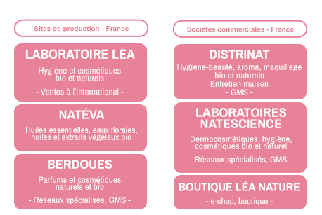 Organigramme du pôle Léa Cosmétique avec 2 parties : Sites de production - France (Laboratoire Léa, Natéva, Berdoues) et Société commerciales - France (Distrinat, Laboratoires Natescience, Boutique Léa Nature)