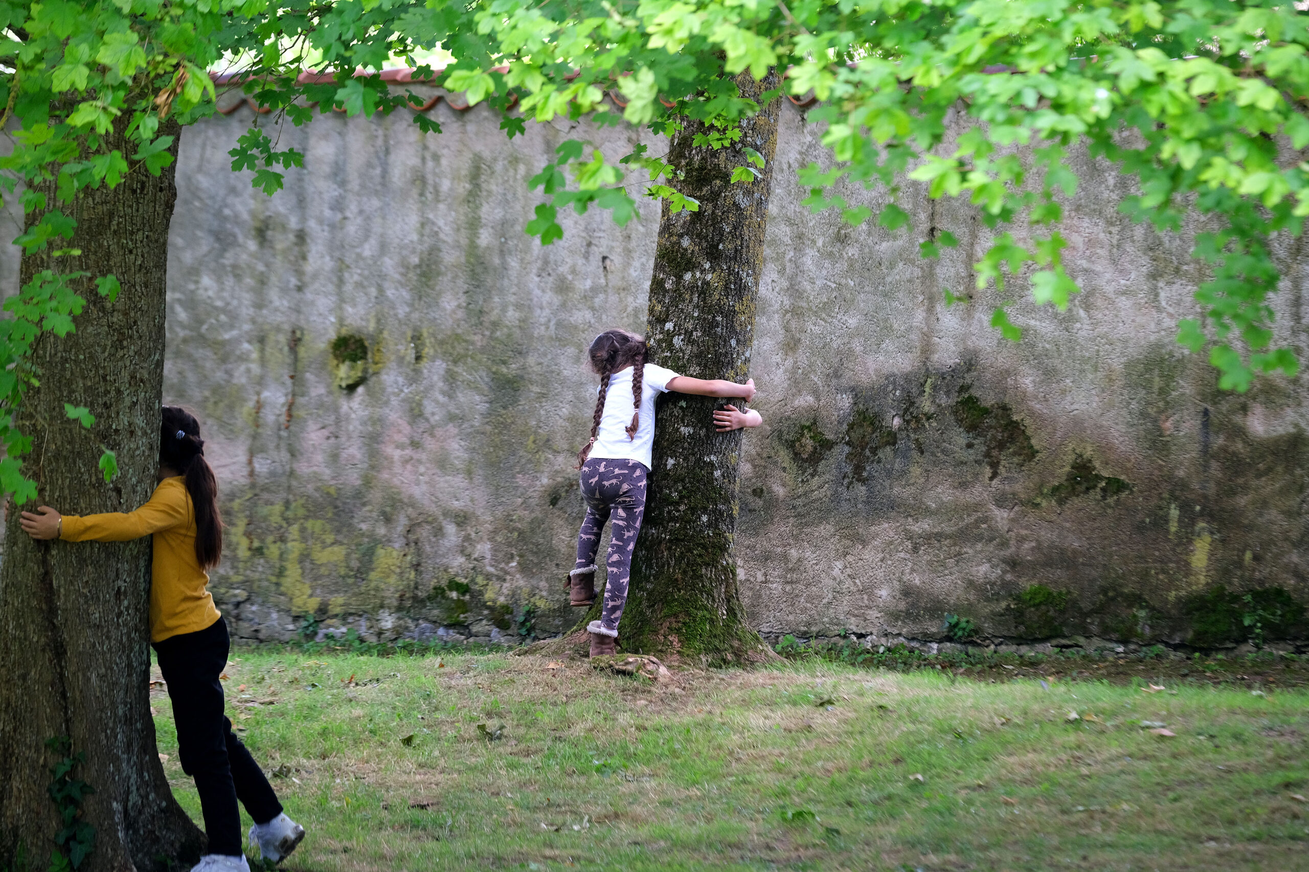 echappee-verte (2)